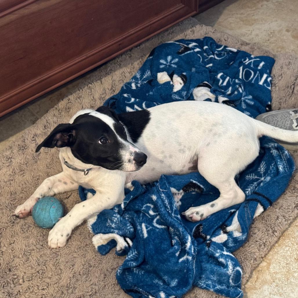 Lucky — thumbnail 2