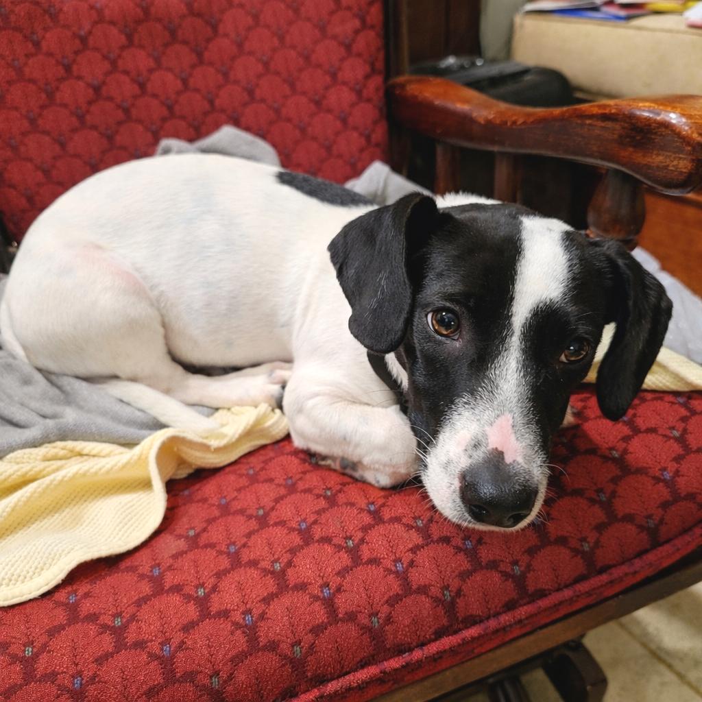 Lucky — thumbnail 4