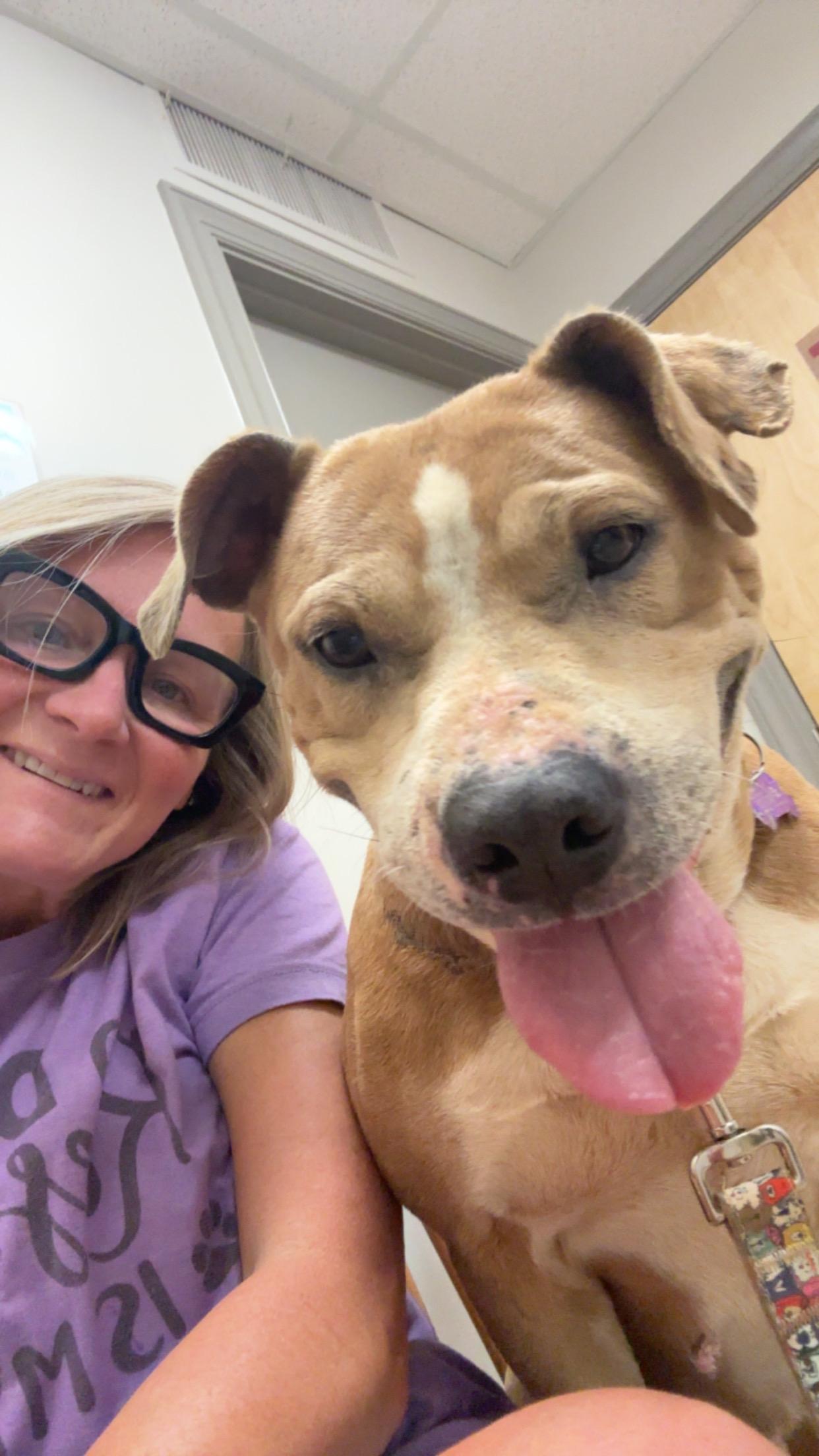 Andi, a ADOPTABLE mixed breed in Maiden, NC image 1/6