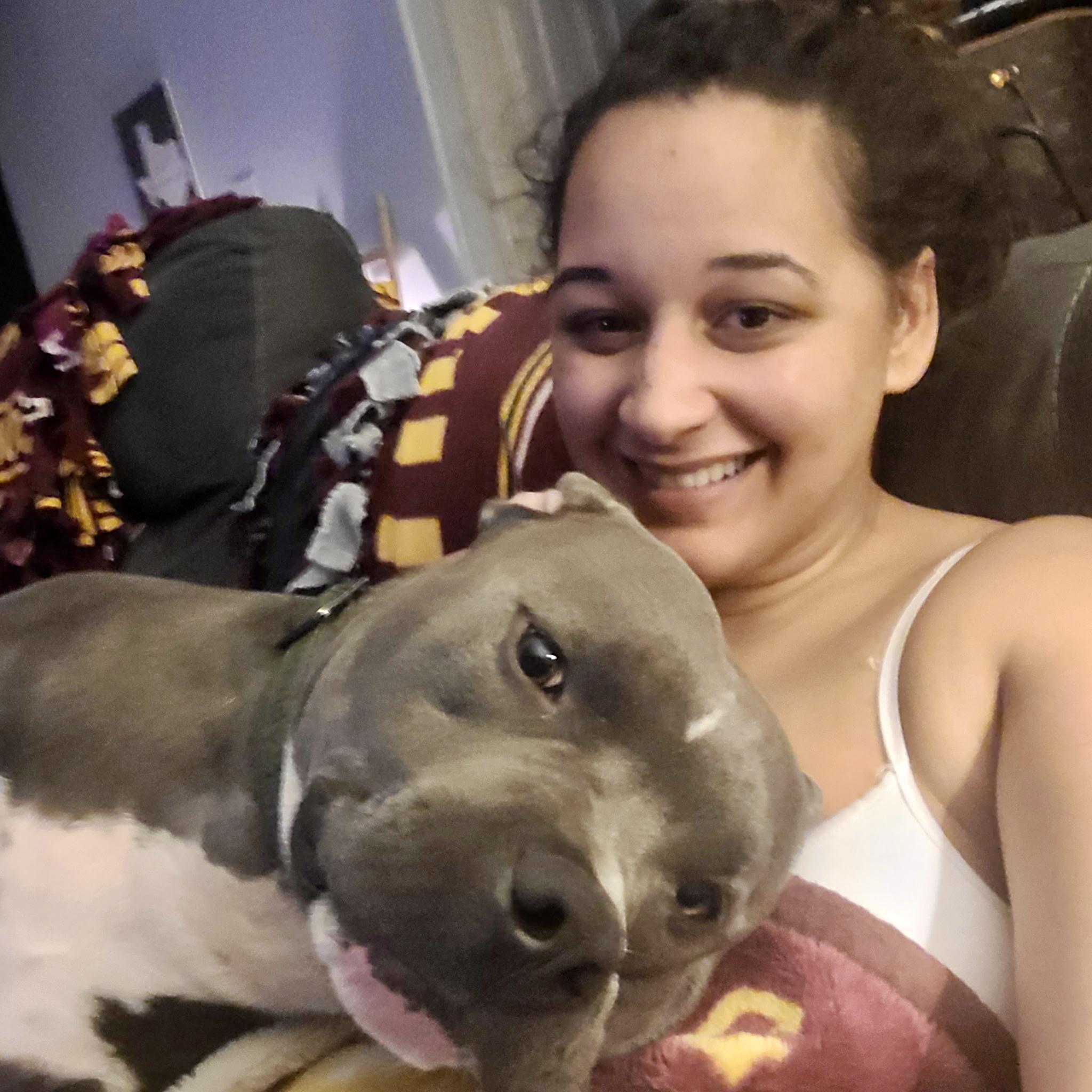 Max, Adoptable, Adult Male American Staffordshire Terrier.