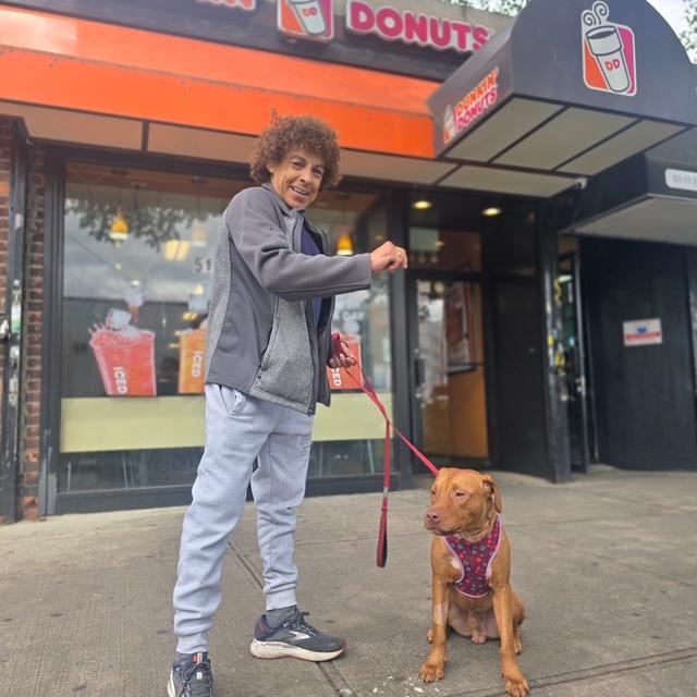 Donut