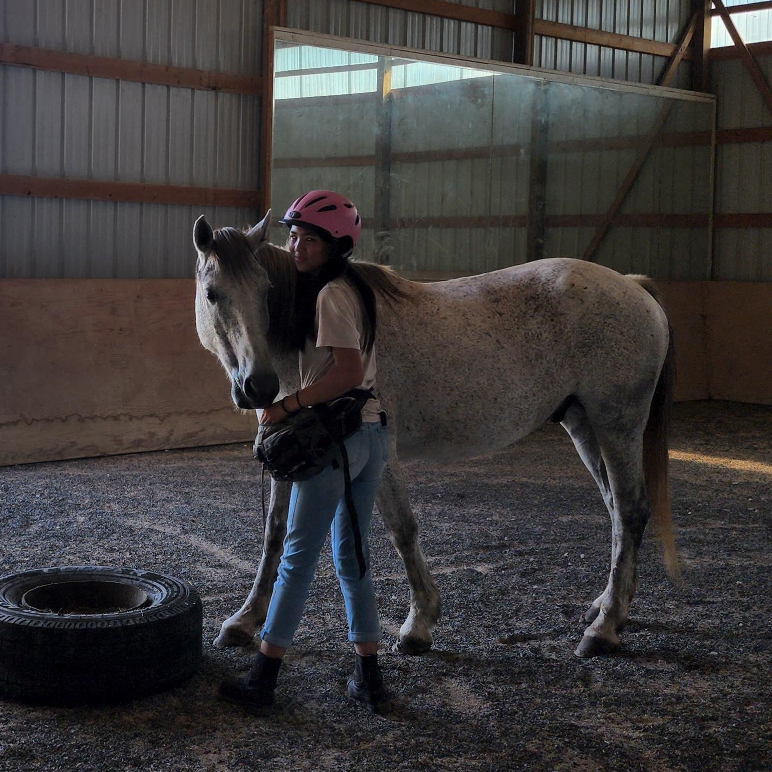 Akai, Adoptable, Adult Male Mustang.