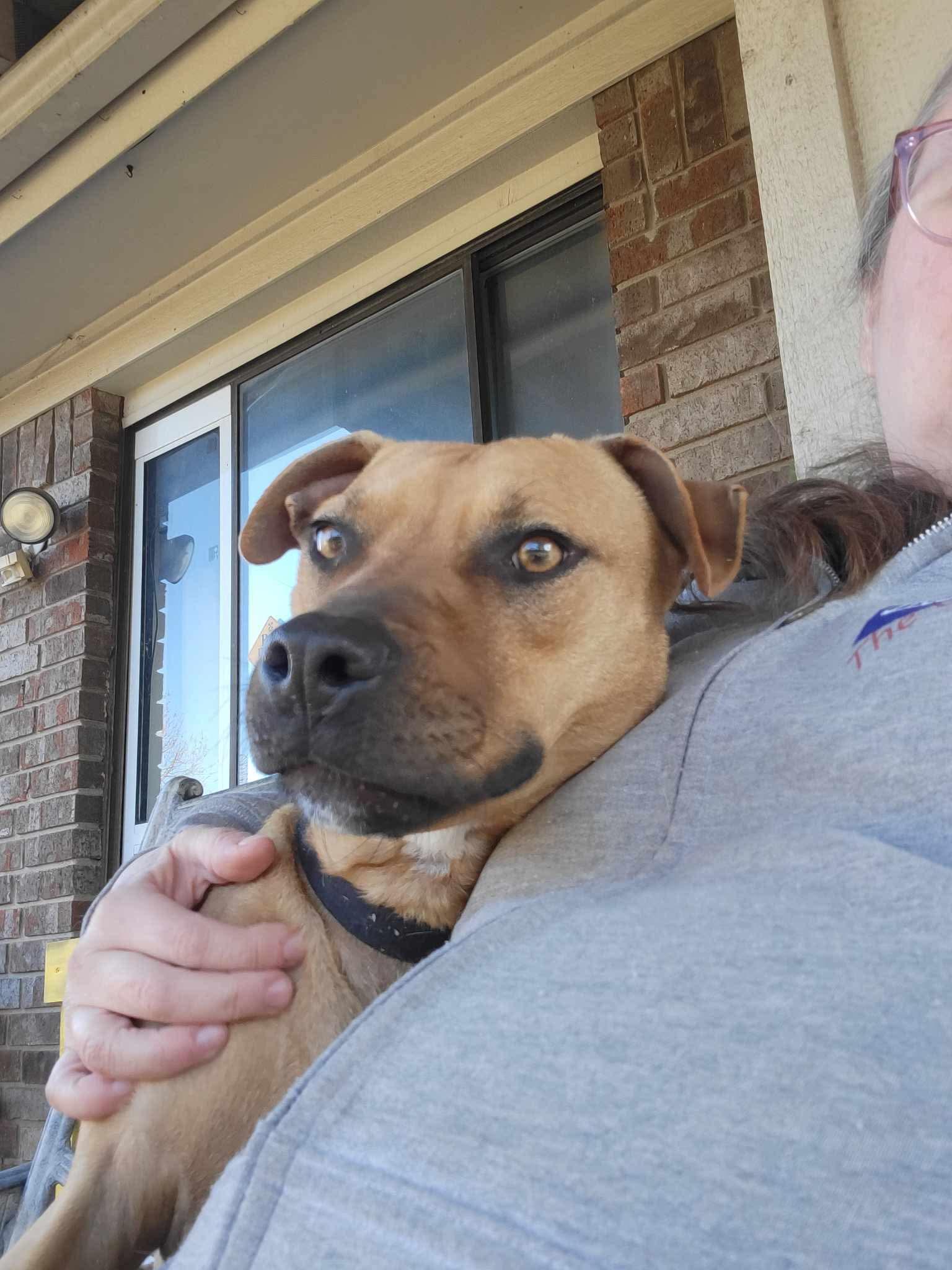 Arlo photo 5