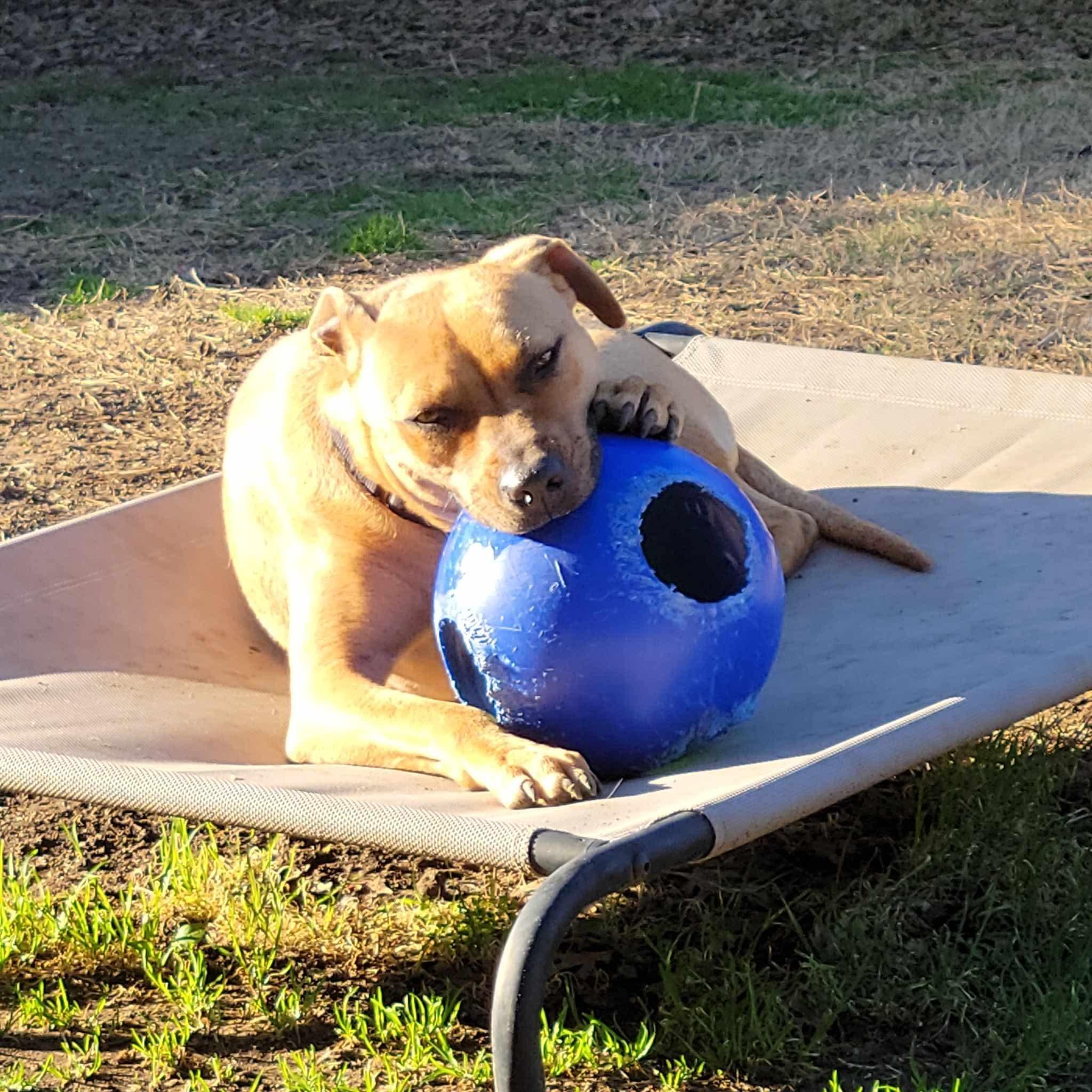 Arlo photo 4