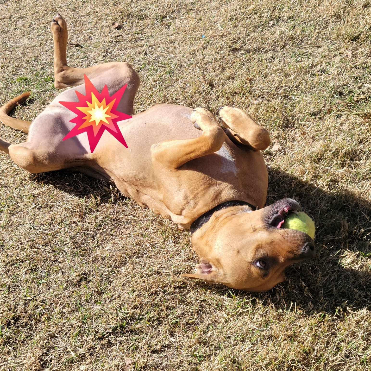 Arlo photo 6