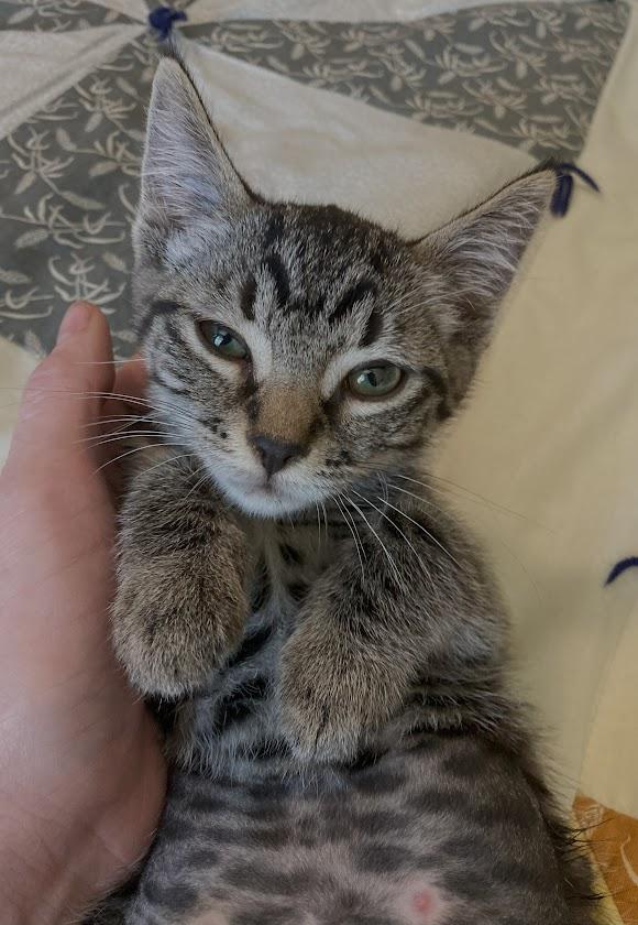 Lola