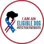 Prudence, Adoptable, Adult Female Mixed Breed & Mixed Breed.