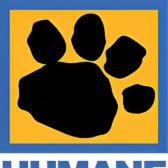 Enlarge Misty, a Adoptable mixed breed in Tulsa, OK image 2/2