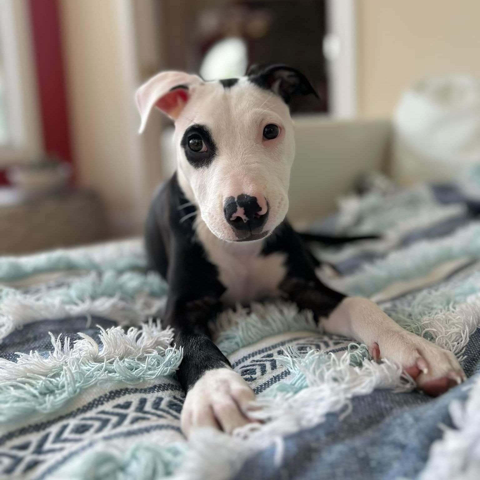 Lily