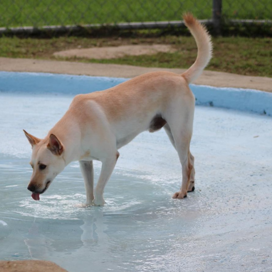 Salvador — thumbnail 3