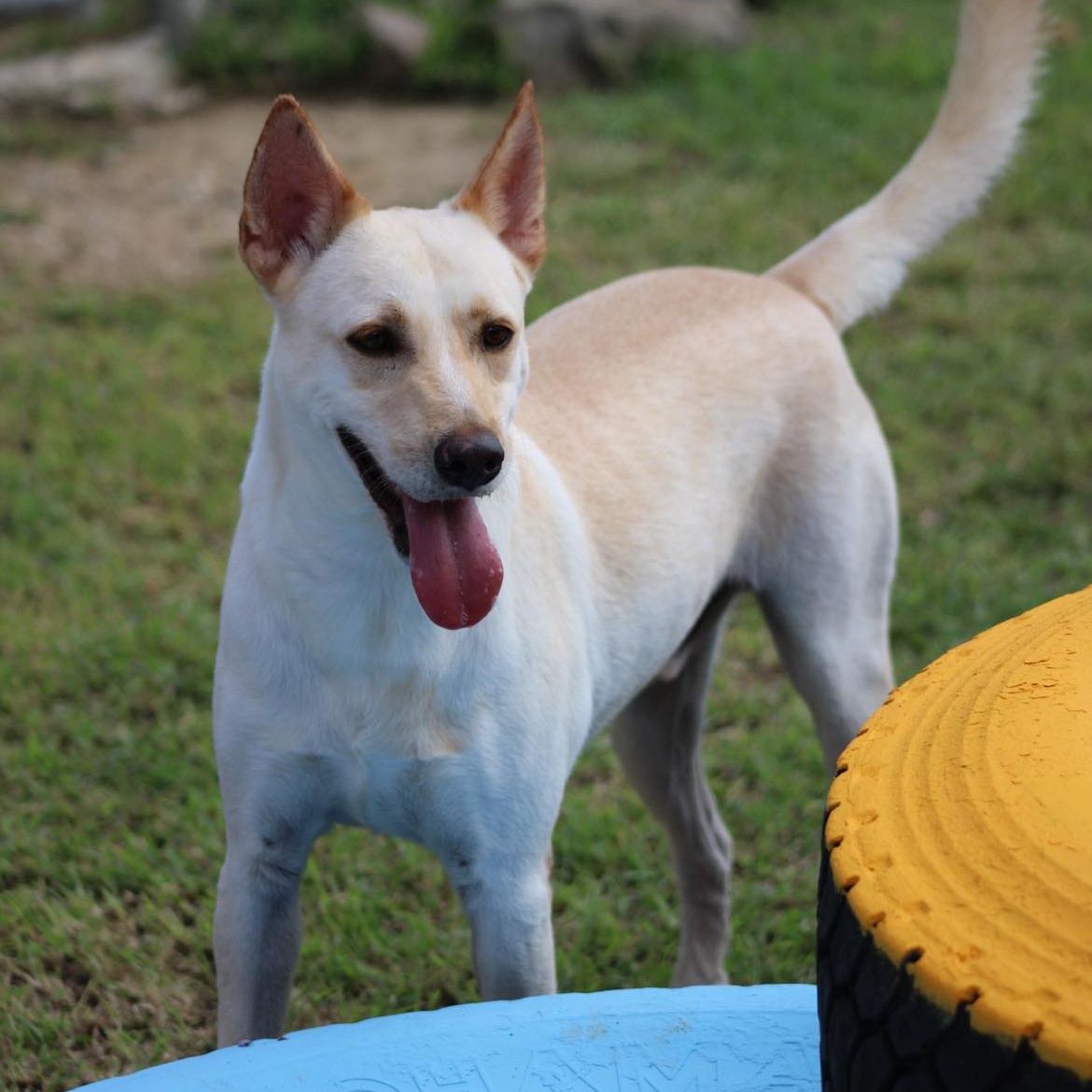 Salvador — thumbnail 5