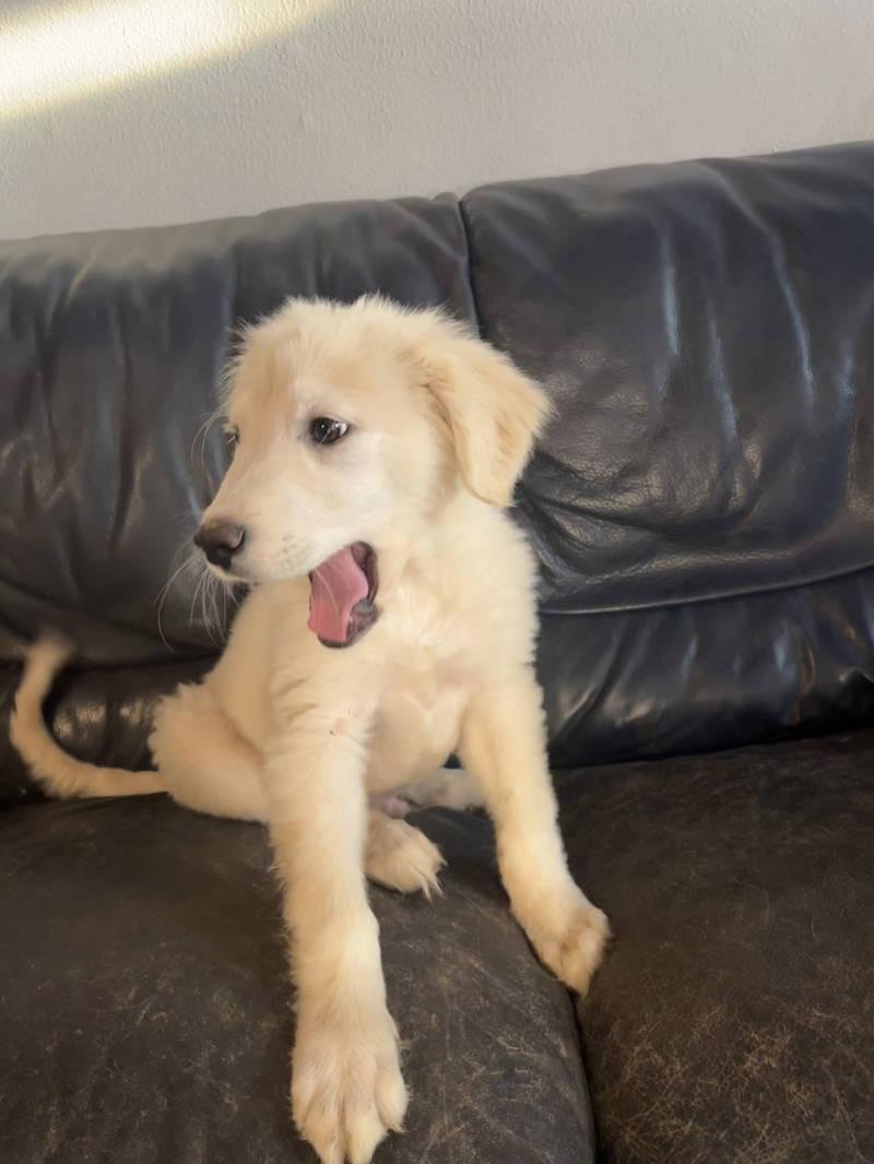 Mitch — thumbnail 6