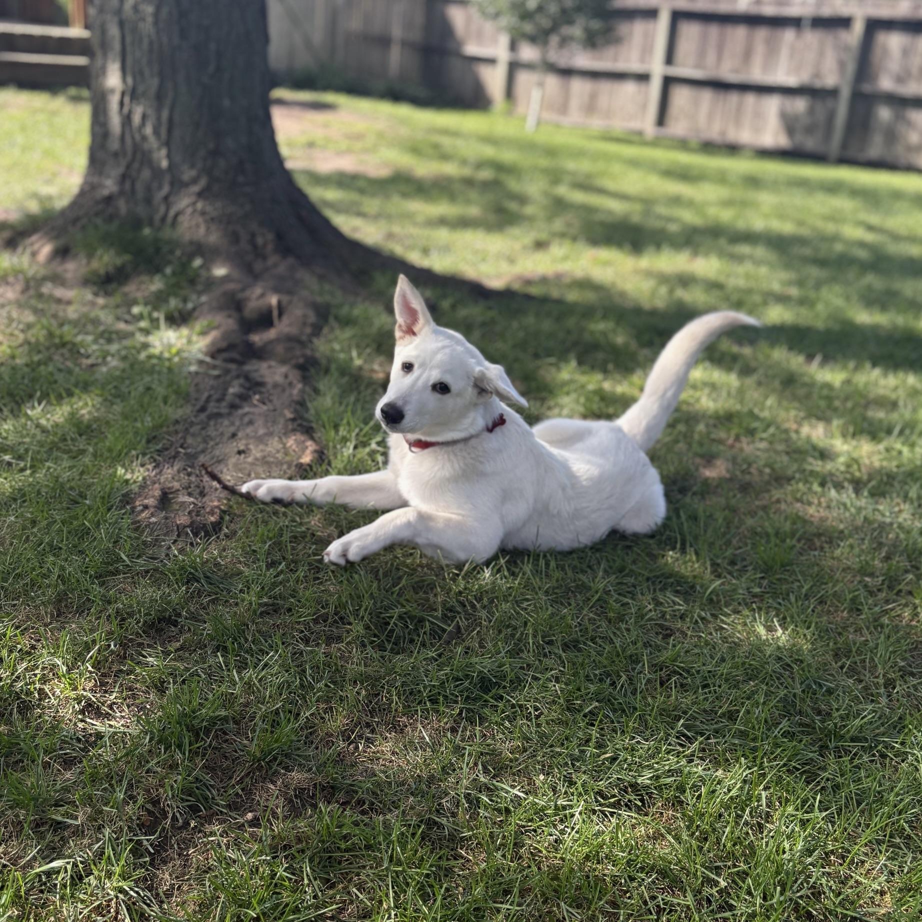 Sam