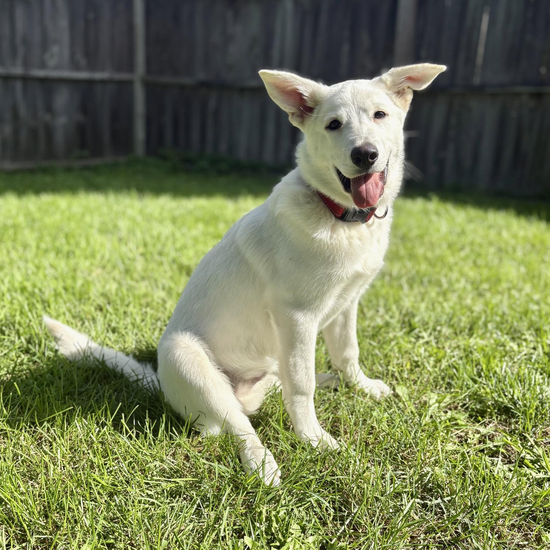 Sam