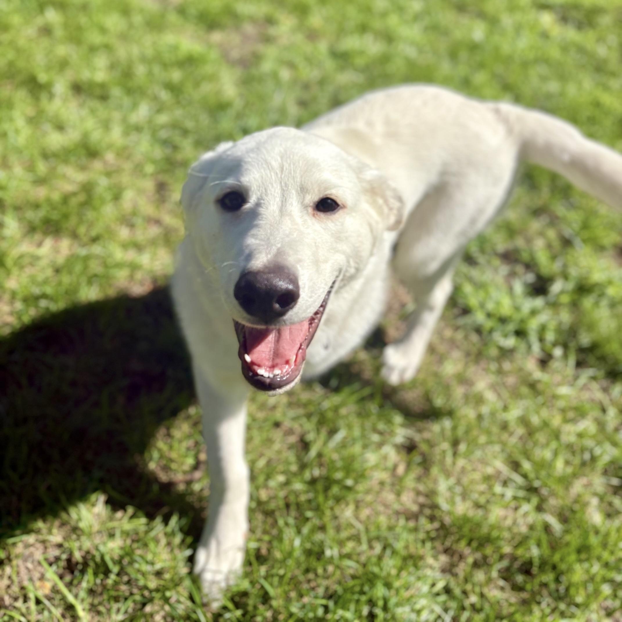 Sam