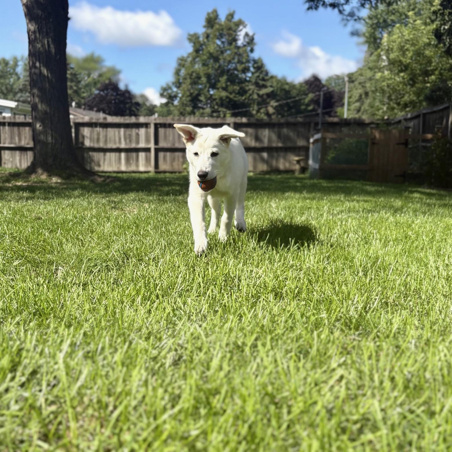 Sam
