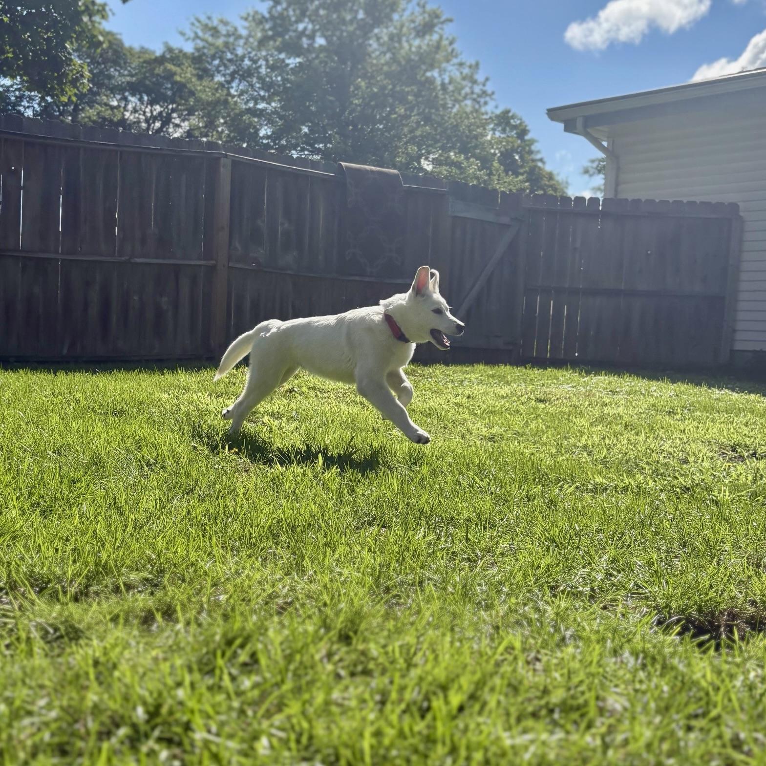 Sam
