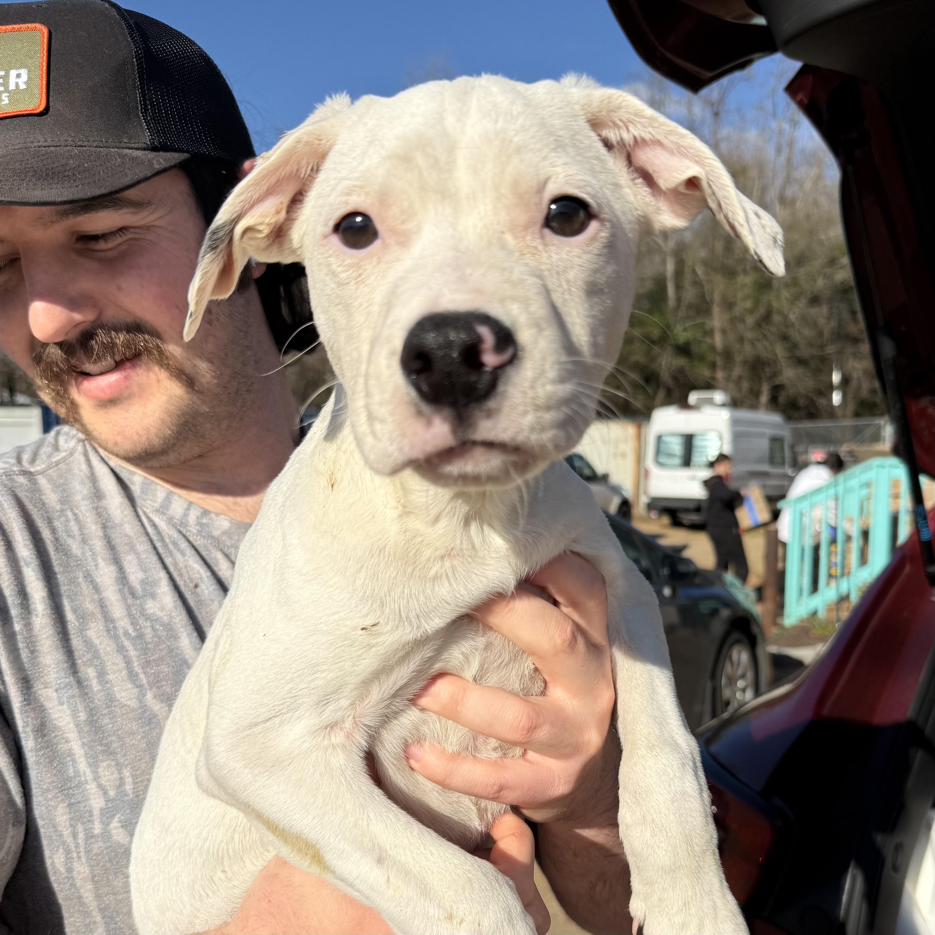 Electrolytes — thumbnail 4