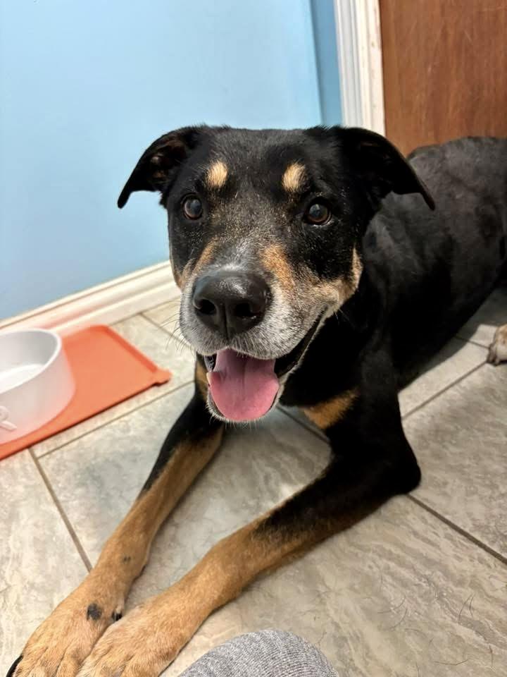 Annie, Senior Female unknown