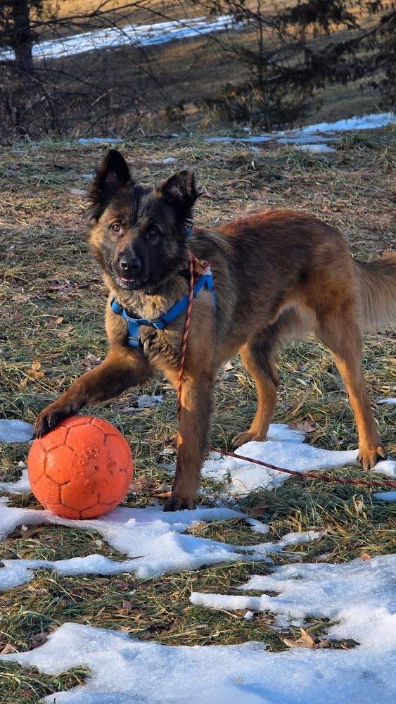 Azly - Located in MN