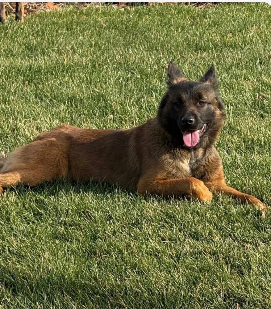 Azly - Located in MN — thumbnail 2