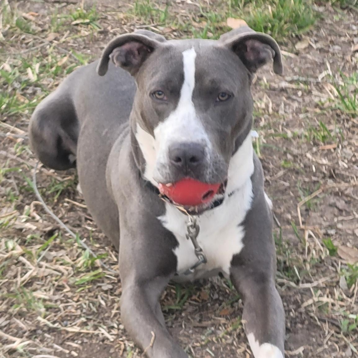 Tony — thumbnail 3