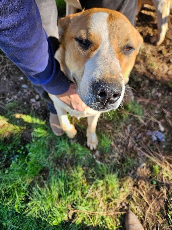 Roulette 0124 — thumbnail 4