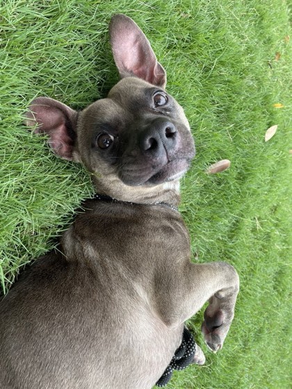 Kevin Hart (142707) (In a Foster Home)