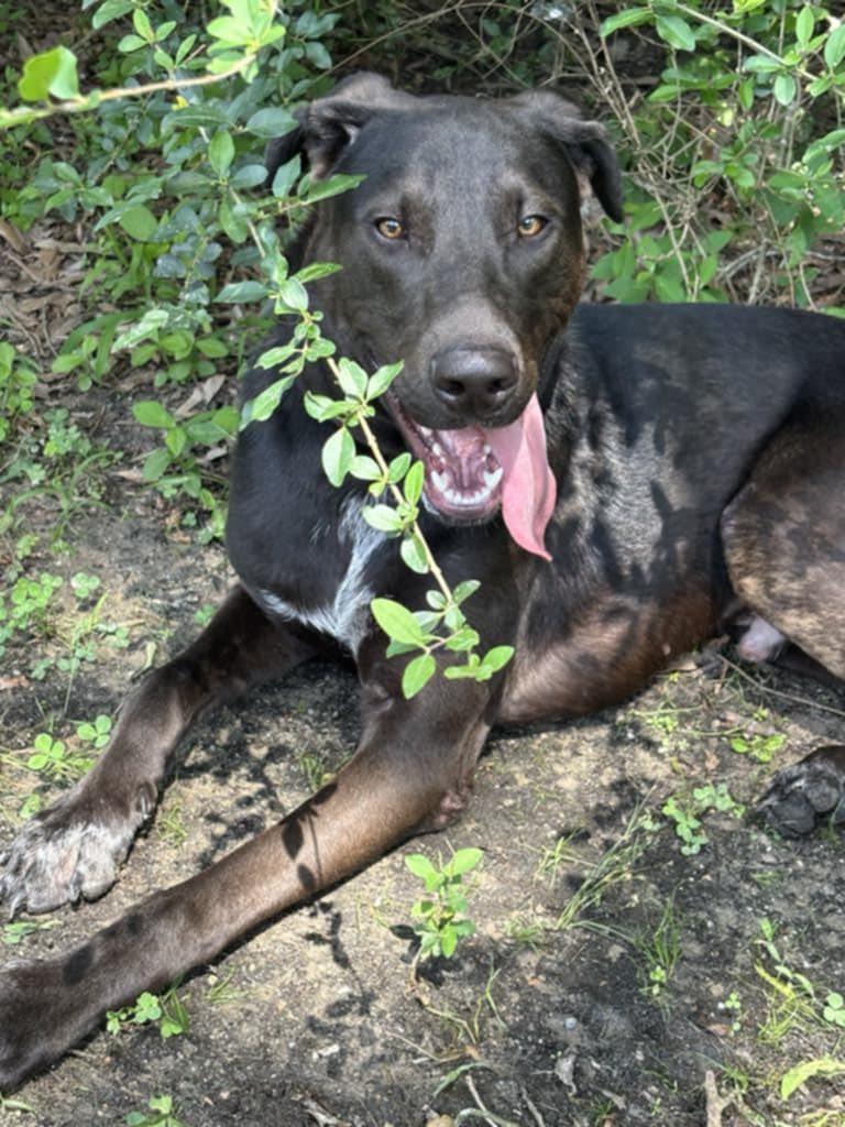 Spencer — thumbnail 6