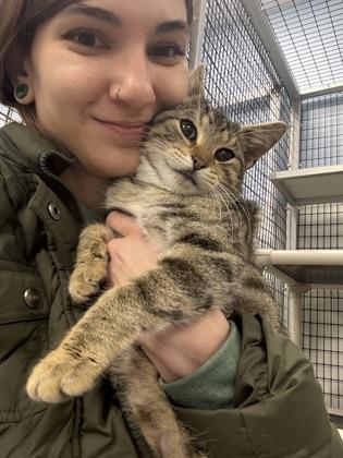 Enlarge Timmy, a Adoptable mixed breed in Mount Pleasant, IA image 2/3