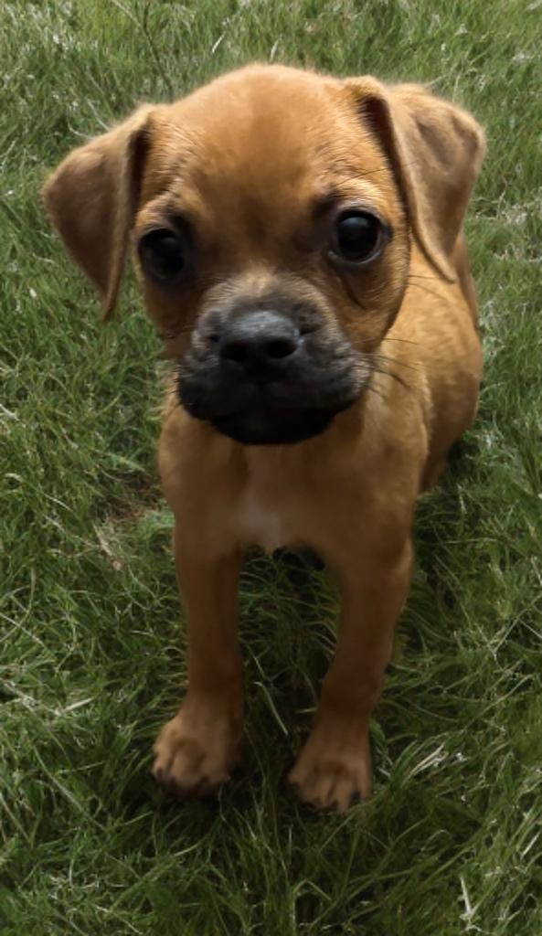 Charlie