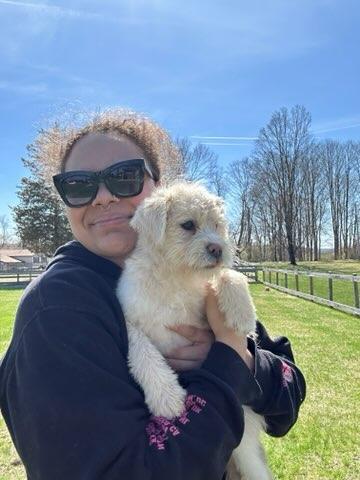 Enlarge Bee, a ADOPTABLE mixed breed in Montclair, NJ image 2/5