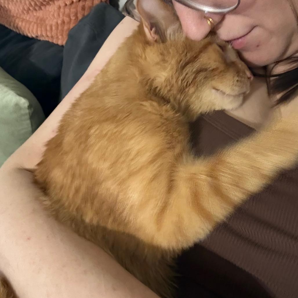 Tavuk Carter — thumbnail 5