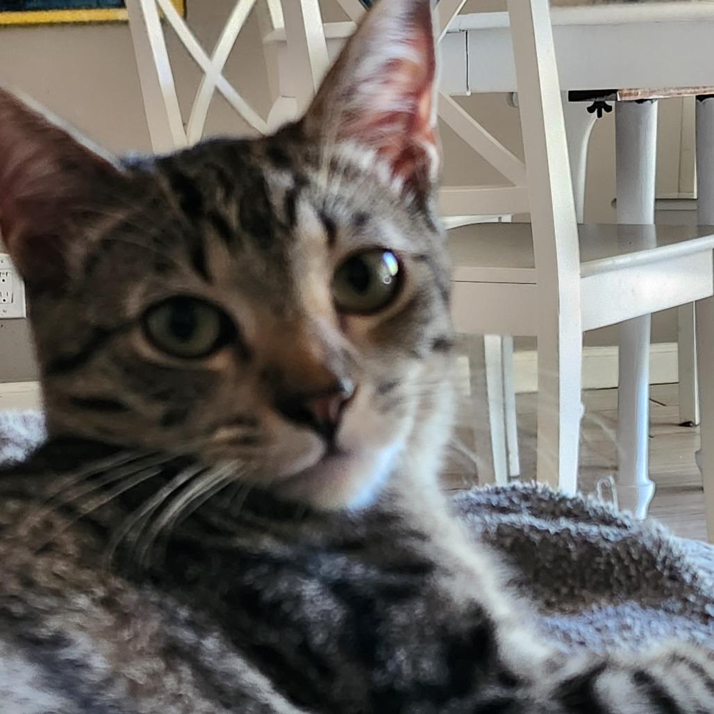 Grant — thumbnail 2