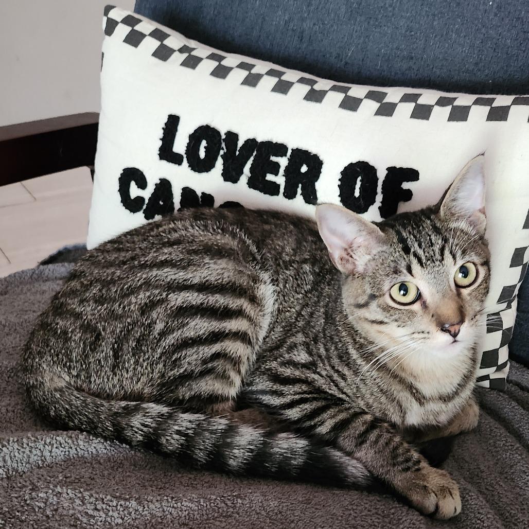 Grant — thumbnail 3