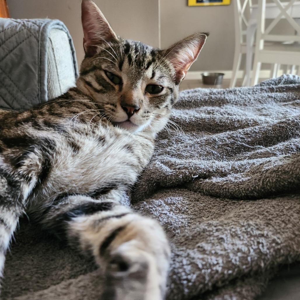 Grant — thumbnail 4