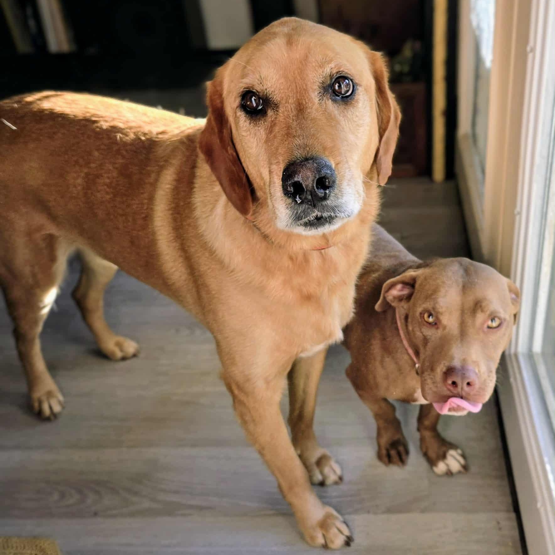 Moe and Mars — thumbnail 2