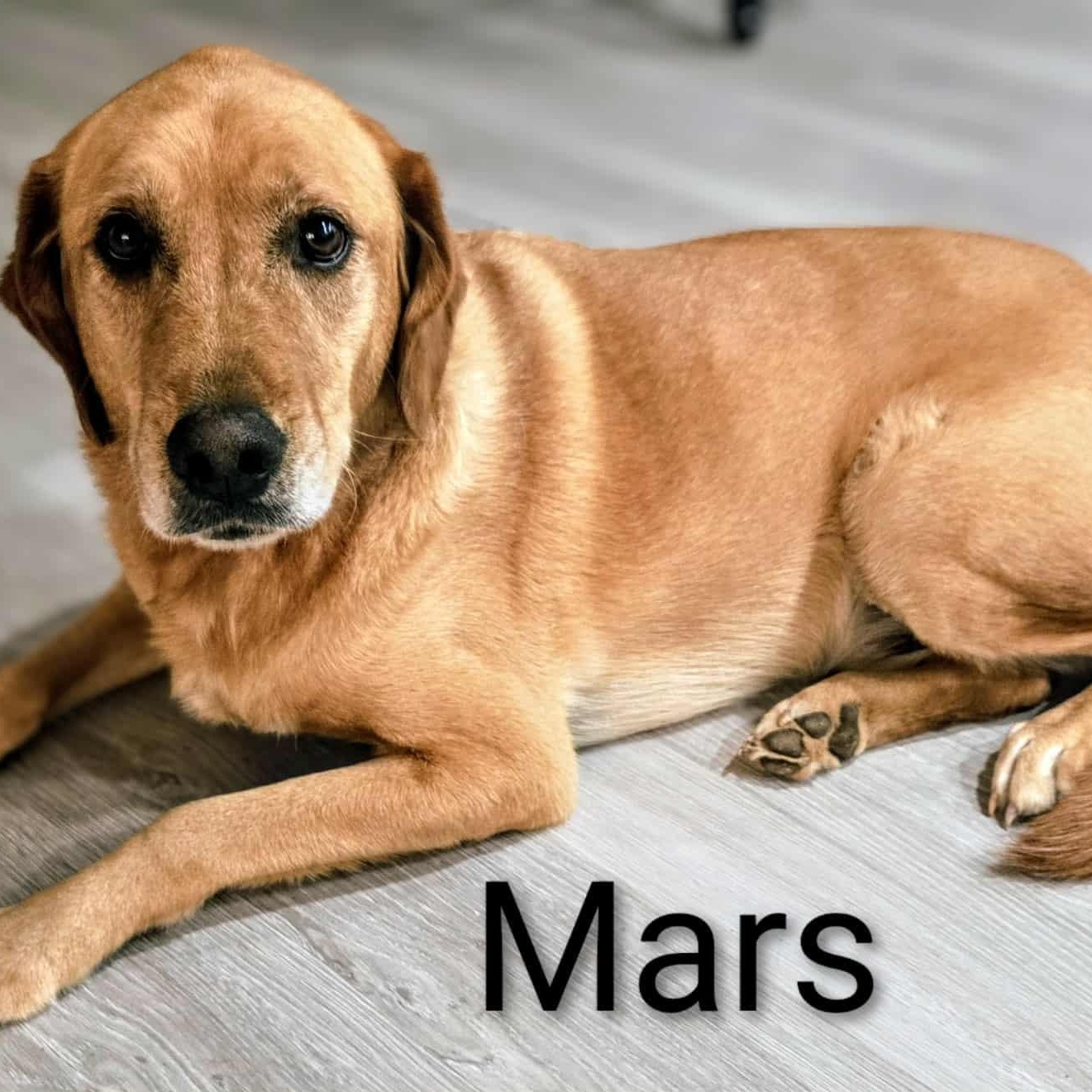 Moe and Mars — thumbnail 3