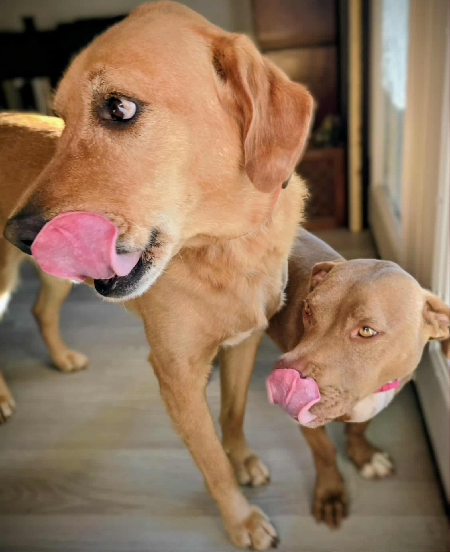 Moe and Mars — thumbnail 4