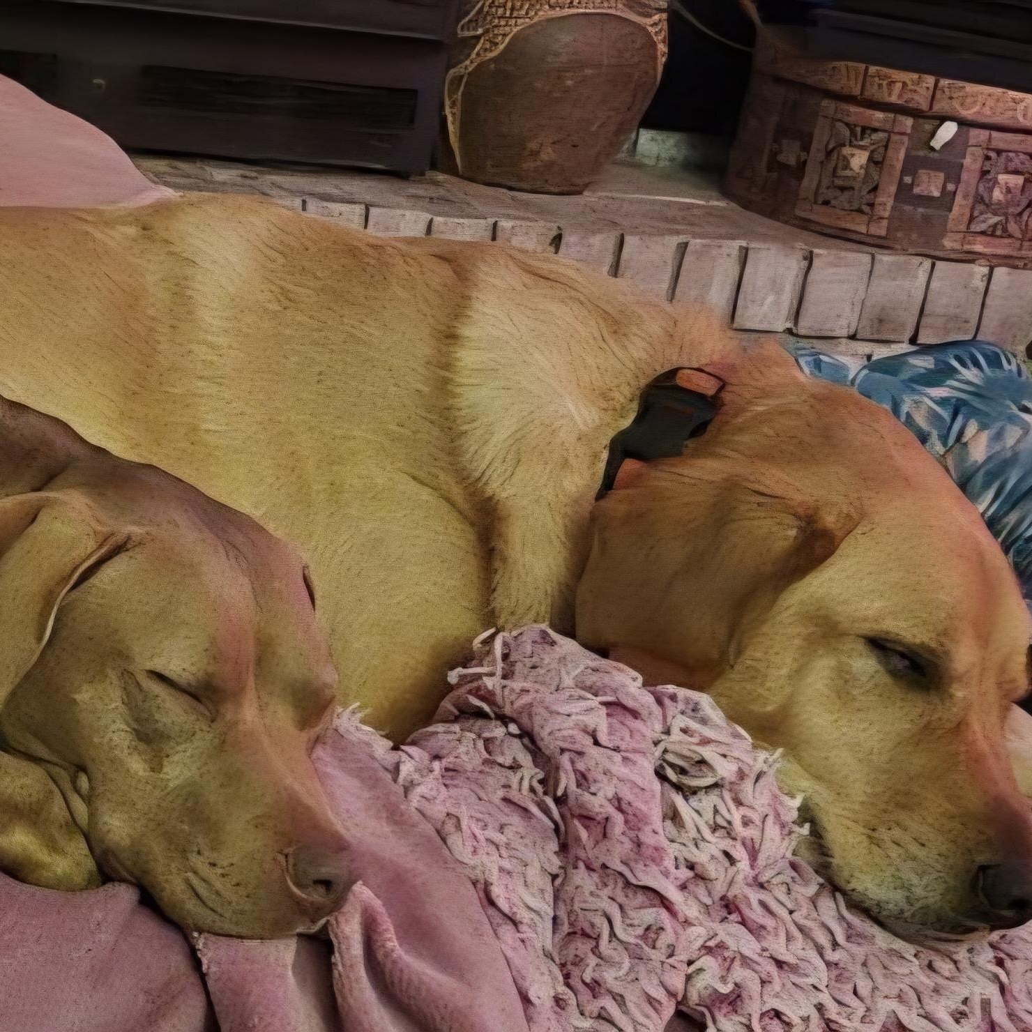 Moe and Mars — thumbnail 5