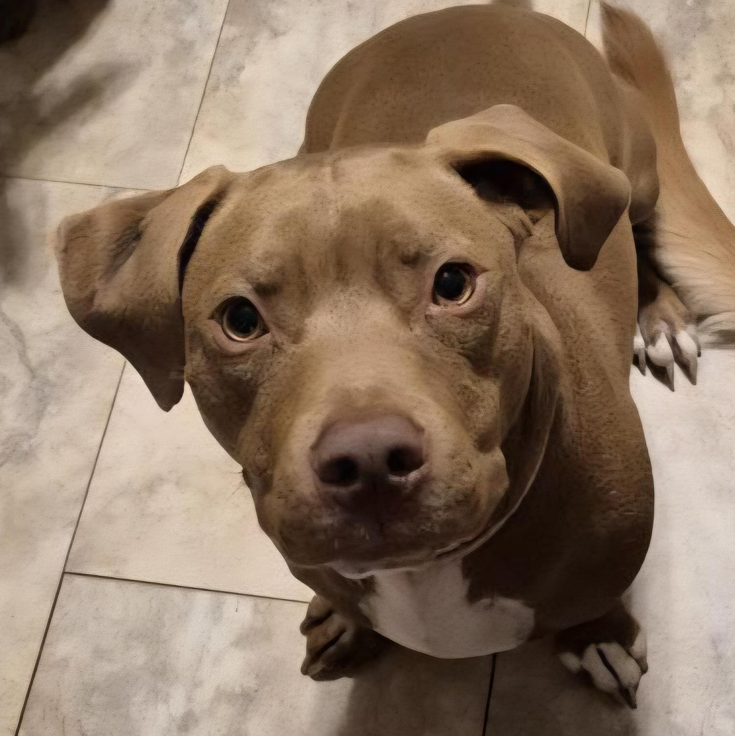 Moe and Mars — thumbnail 6