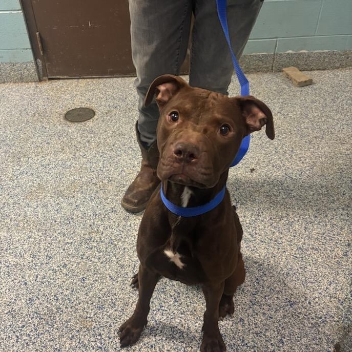 Samantha — thumbnail 2