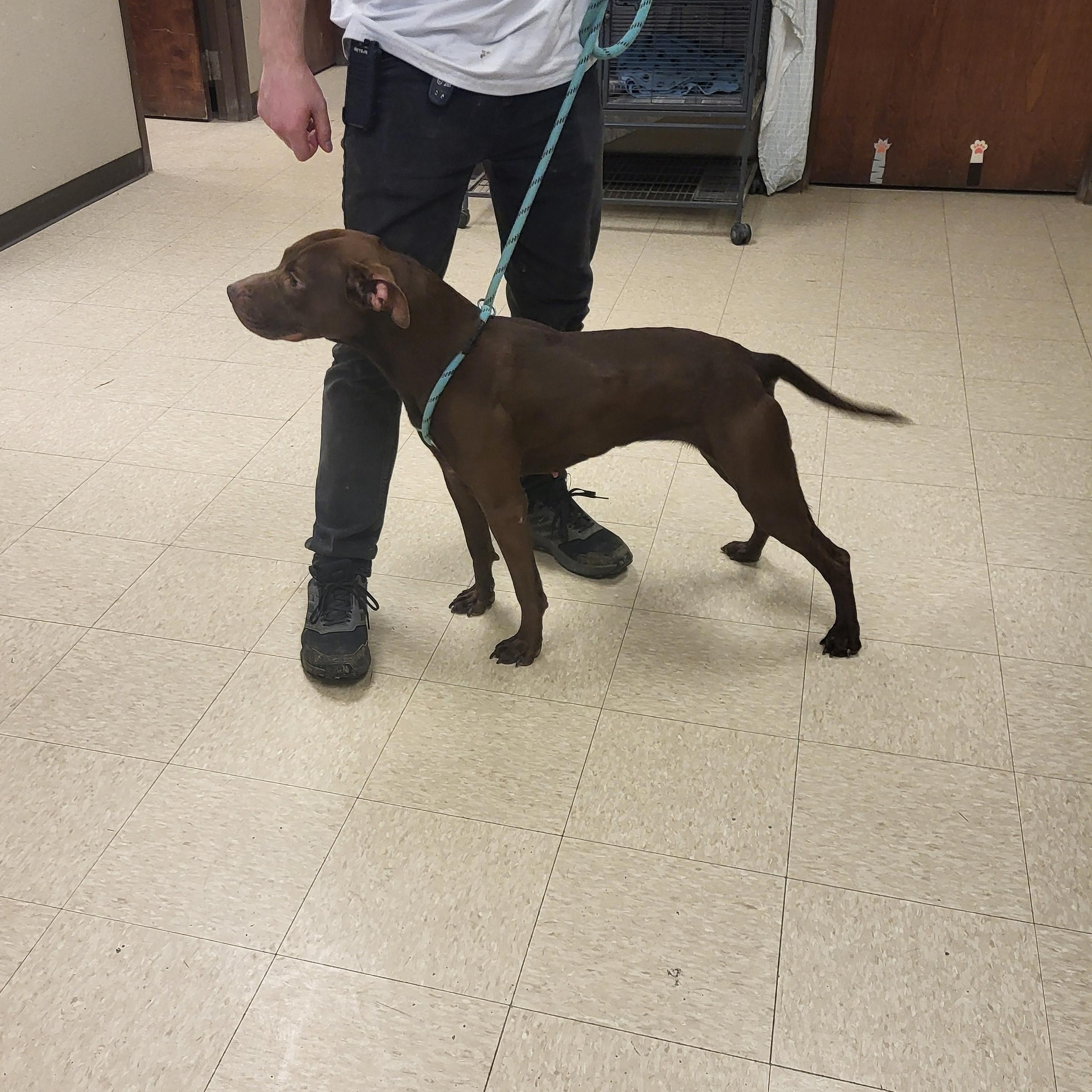 Samantha — thumbnail 3