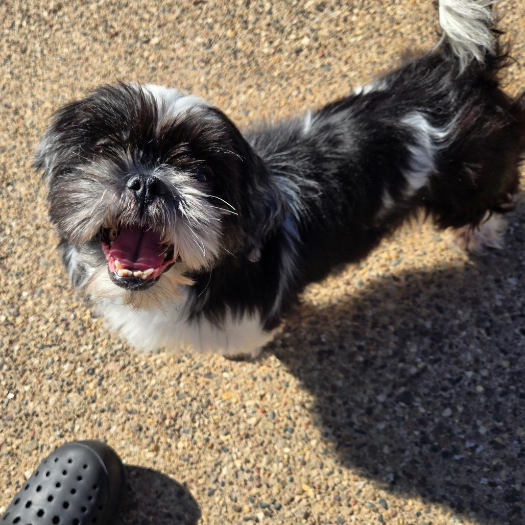 Gigi — thumbnail 5