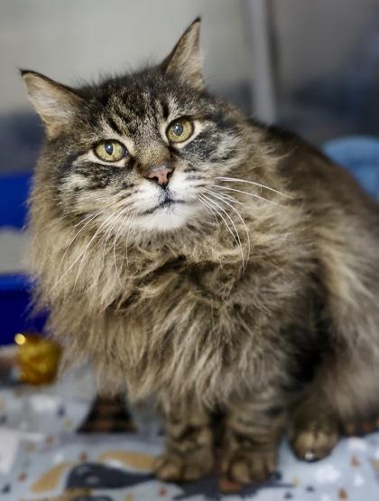 Marble — thumbnail 2