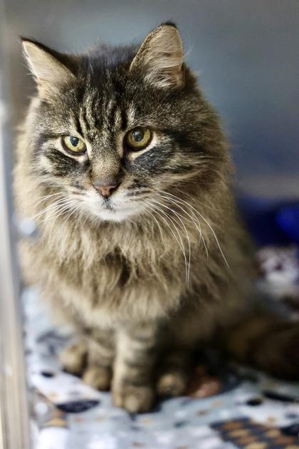 Marble — thumbnail 3