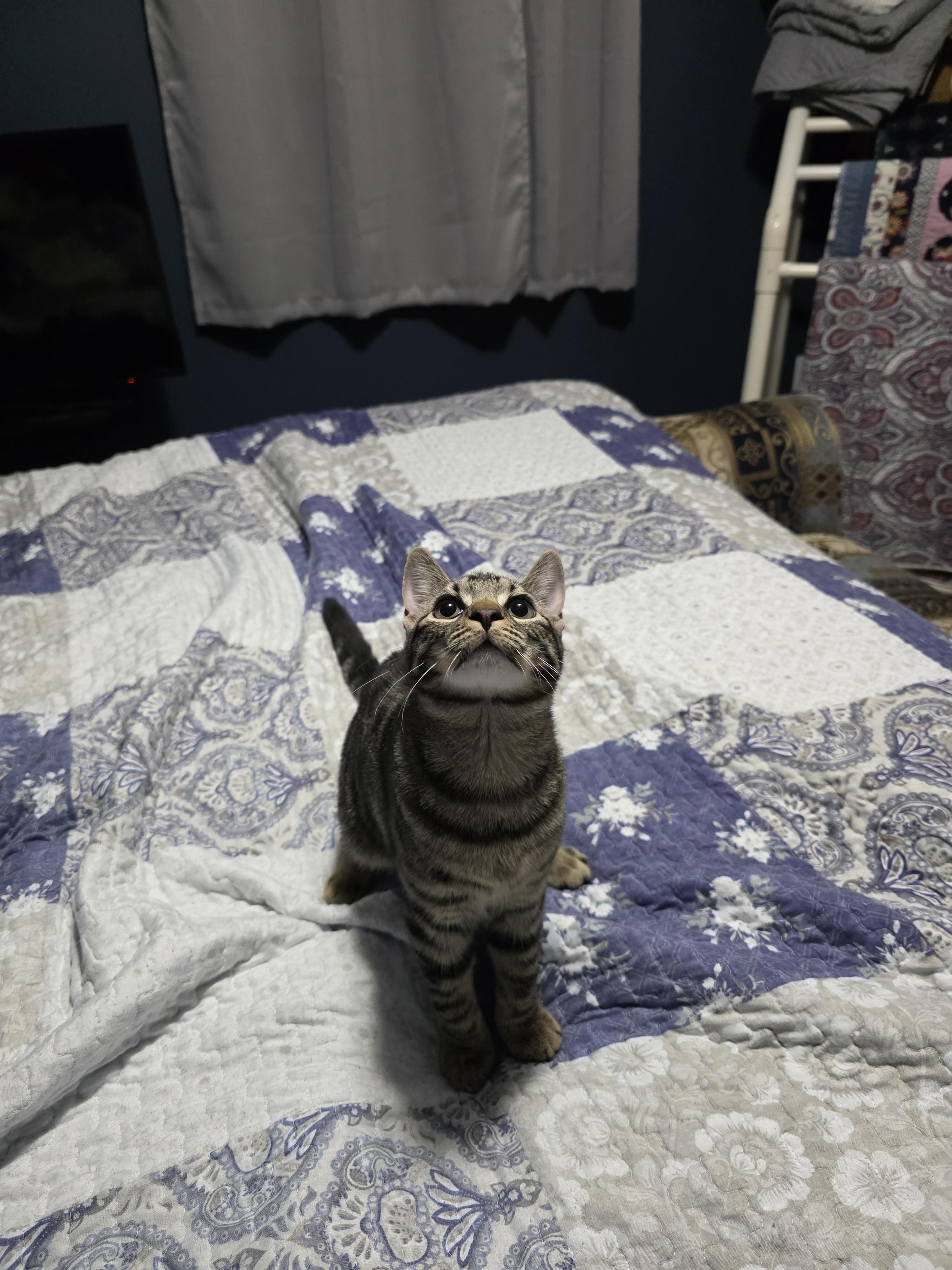 Shirley & Squiggy thumbnail 2