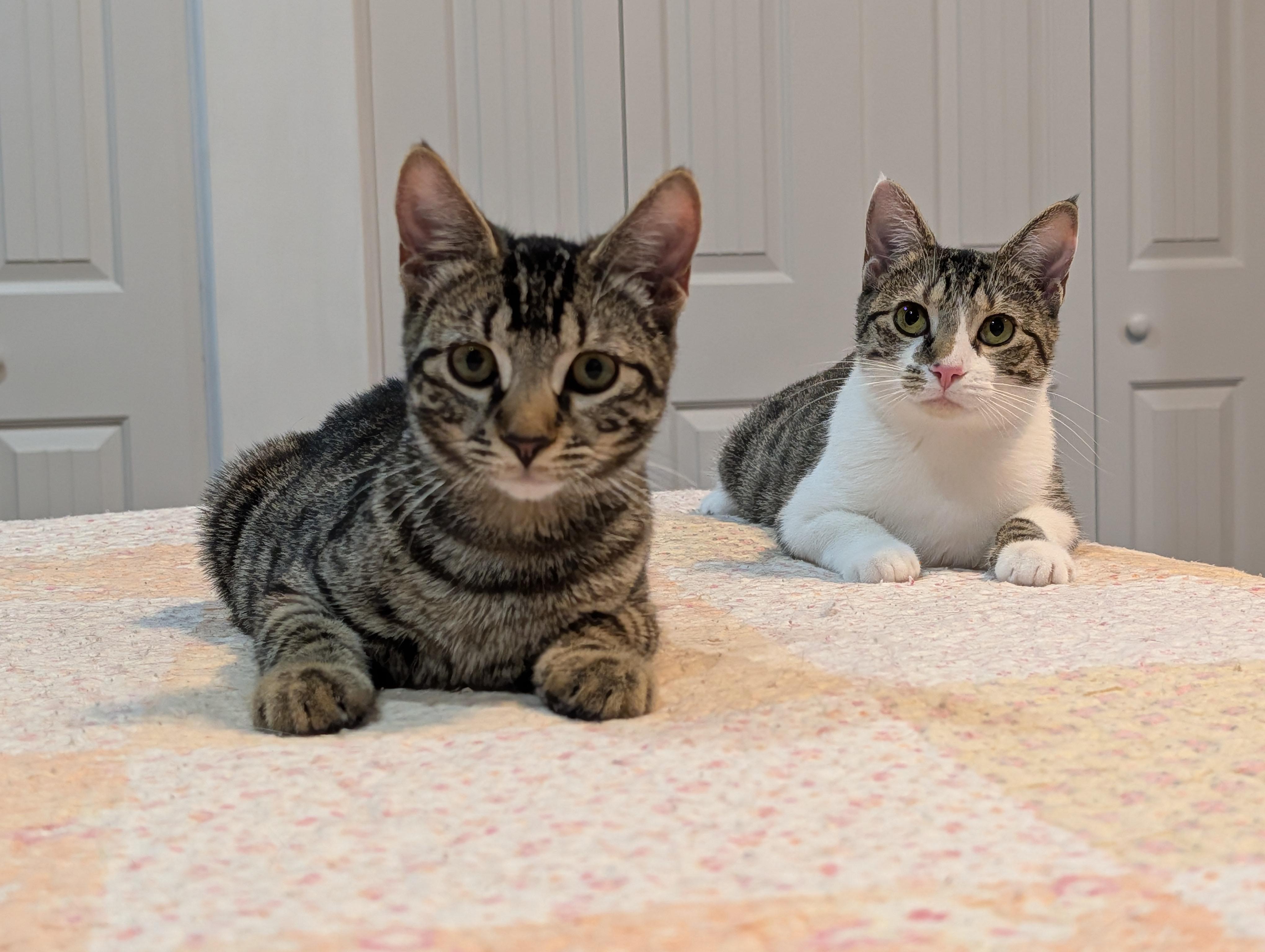 Shirley & Squiggy thumbnail 5