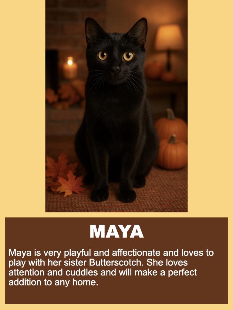 Maya