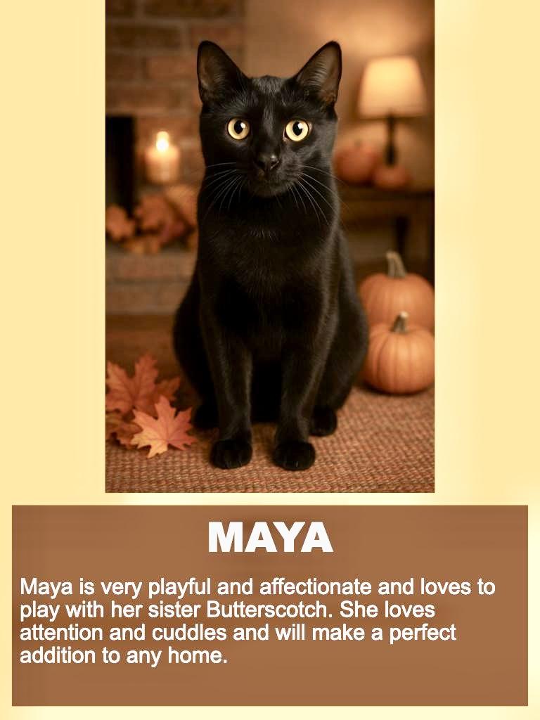 Maya photo 1